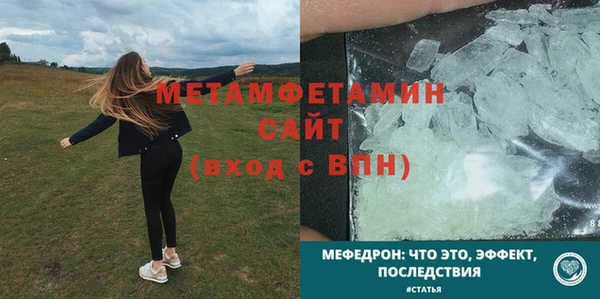 шишки Магас