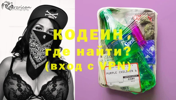 шишки Магас