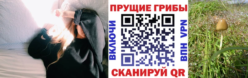 hydra онион  Советск  Псилоцибиновые грибы Psilocybine cubensis  наркота 